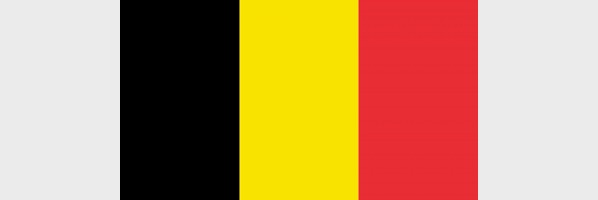 Belgique : Dix-neuf nouvelles affaires contre la Belgique pour non-respect des arrêts de la CEDH