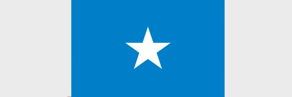 Somalie : 21 morts dans la dernière attaque d’Al-Shabaab